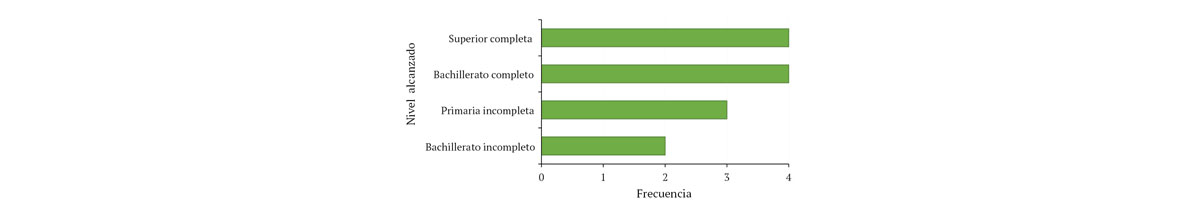 Figura 1